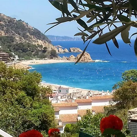 Hotel 4 Bedrooms With Sea View Private Pool And Enclosed Garden At Tossa de Mar