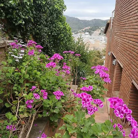 4 Bedrooms With Sea View Private Pool And Enclosed Garden At Hotel Tossa de Mar